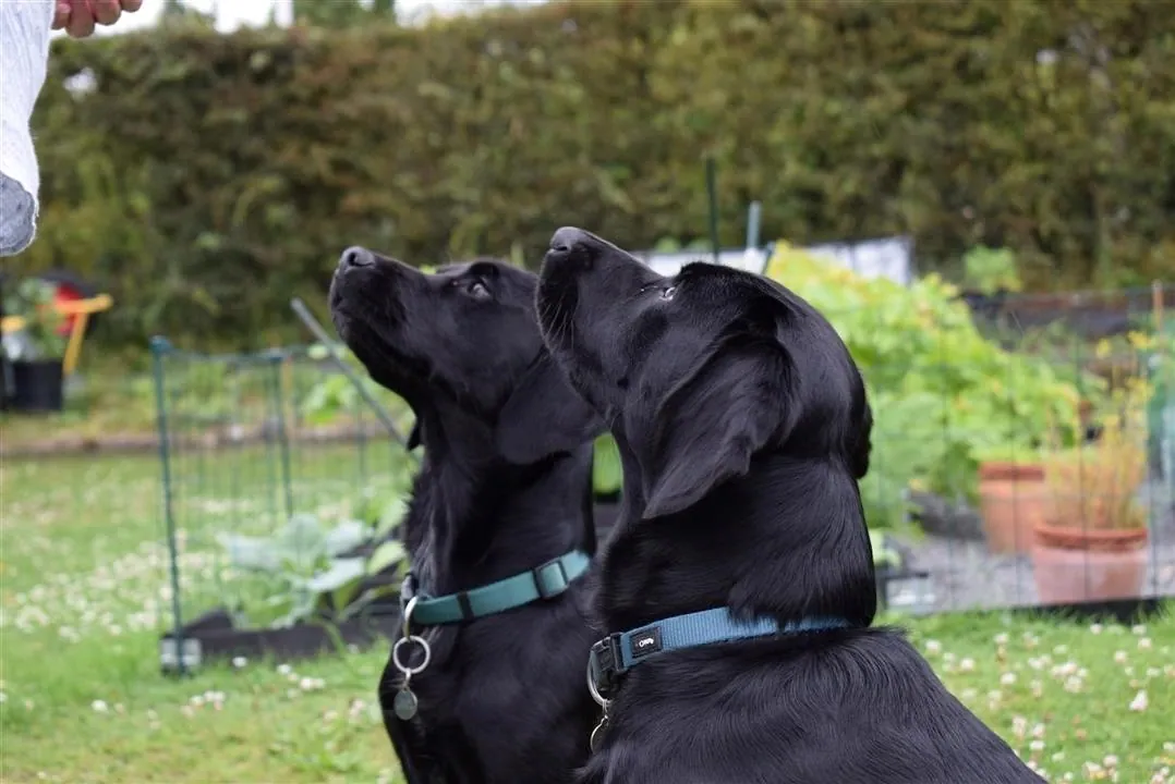 G22.3 last day with mette ian oscar otis assens (11)